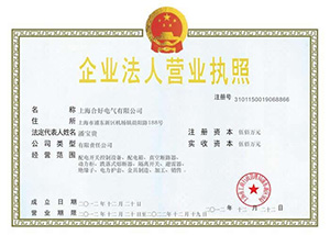 企业法人营业执照