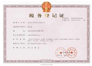 税务登记证